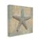 Stupell Industries Starfish Beach Objects Design Canvas Wall Art